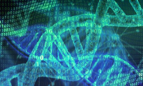 Citogenética — Aplicações para diagnósticos de doenças raras