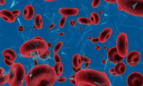 Talassemia — Conheça mais sobre essa condição hereditária