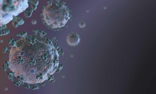 Evolução e disseminação epidêmica do SARS-CoV-2 no Brasil