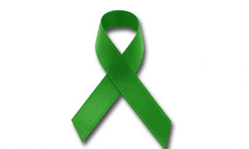 Setembro Verde — A importância da informação para doação de órgãos