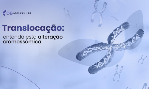 Translocação: entenda essa alteração cromossômica