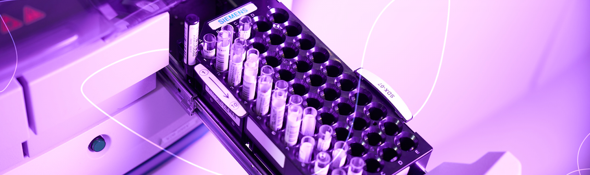 institucional | DB Molecular