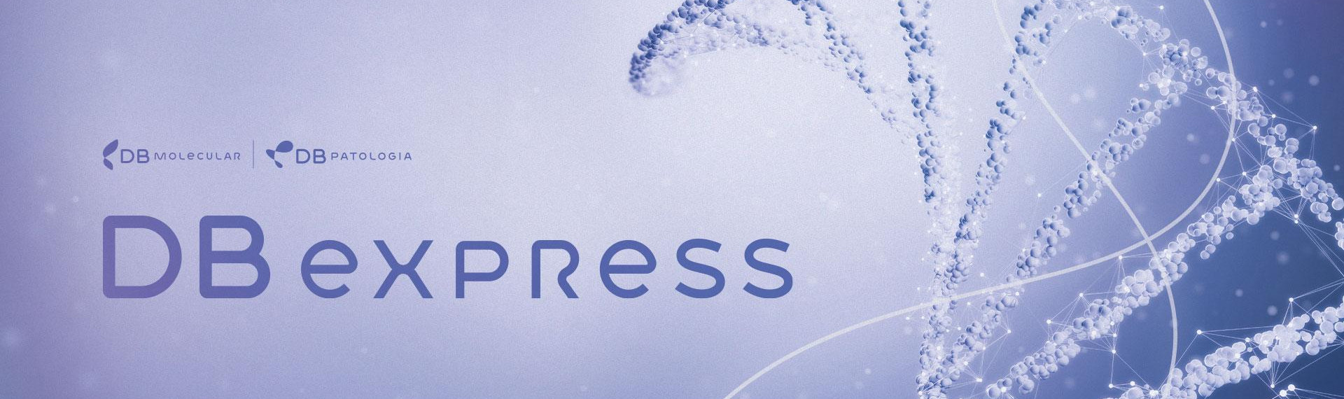 db-express | DB Molecular