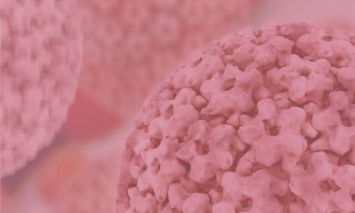 MÊS DE PREVENÇÃO AO CÂNCER DE CABEÇA E PESCOÇO ESTIMULA A PREVENÇÃO CONTRA O HPV