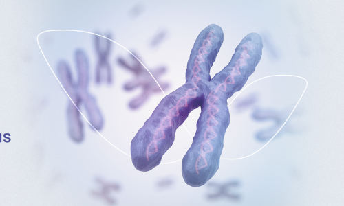 Cariótipo — Conheça os detalhes sobre o exame que pode identificar diversas anomalias cromossômicas