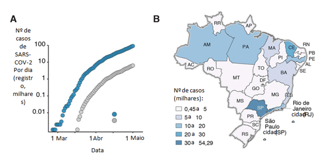 Evolução e disseminação epidêmica da SARS-CoV-2 no Brasil
