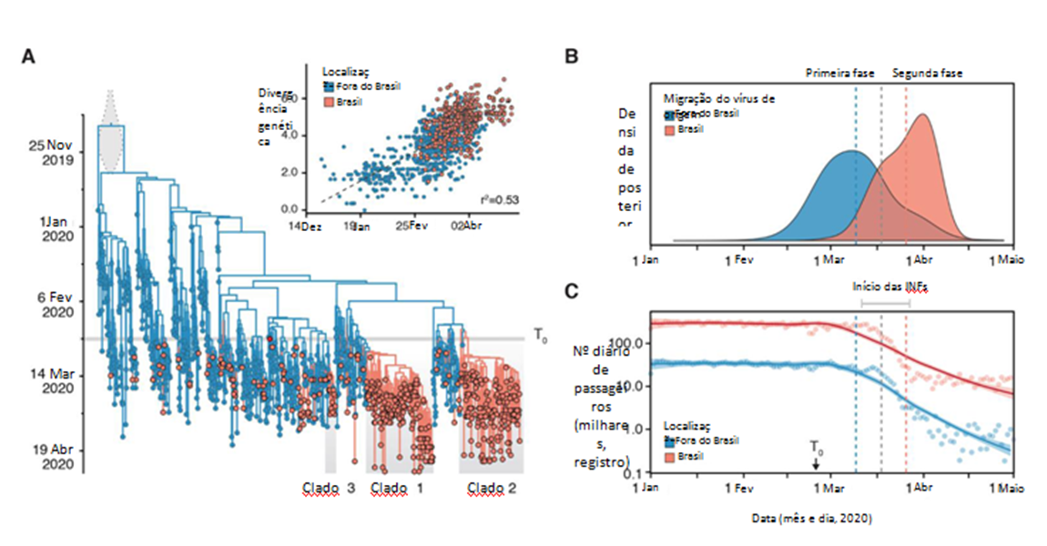 Evolução e disseminação epidêmica da SARS-CoV-2 no Brasil