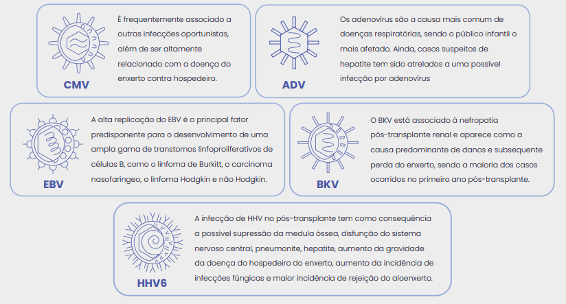 DB EXPRESS: INFECÇÕES OPORTUNISTAS  EM TRANSPLANTES