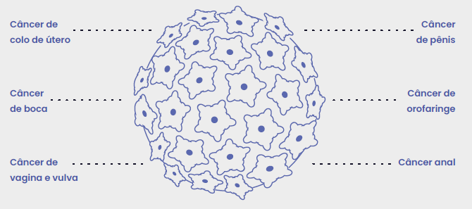 DB EXPRESS: PAINEL HPV DETECÇÃO & GENOTIPAGEM