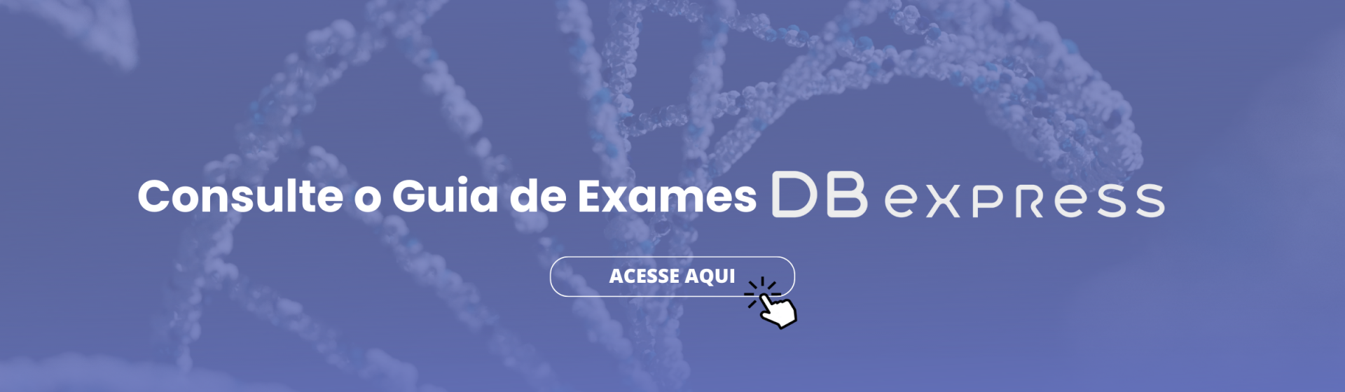 DB EXPRESS