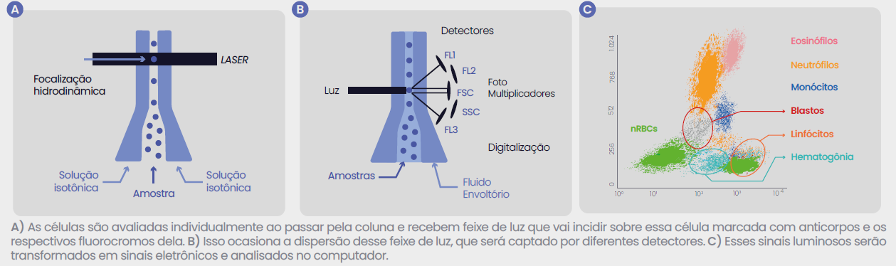 CITOMETRIA DE FLUXO